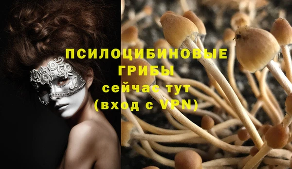 jwh Богданович
