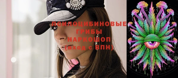дживик Богородицк