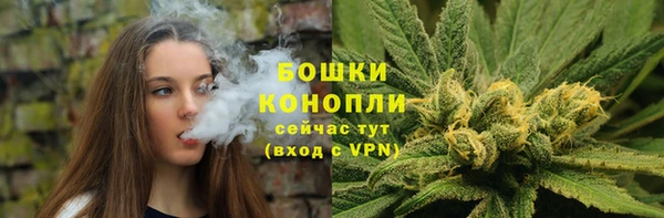 тгк Бронницы