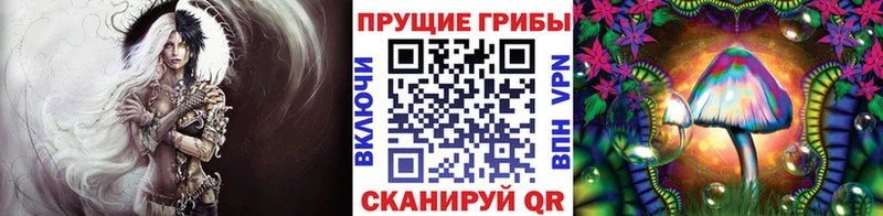 KRAKEN зеркало  Змеиногорск  Галлюциногенные грибы ЛСД 