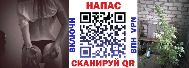 Бошки Шишки ГИДРОПОН  блэк спрут ссылки  Змеиногорск  продажа наркотиков 